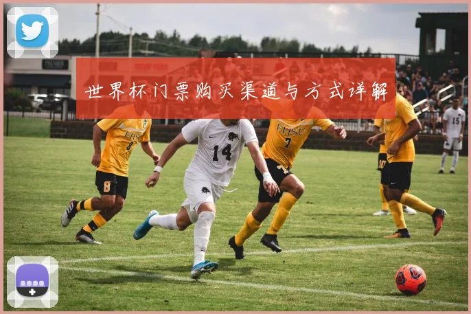 世界杯门票购买渠道与方式详解