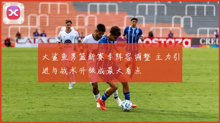 大鲨鱼男篮新赛季阵容调整 主力引进与战术升级成最大看点