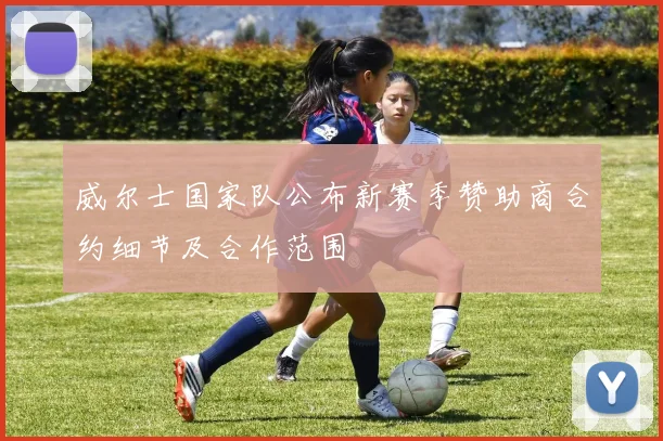 威尔士国家队公布新赛季赞助商合约细节及合作范围