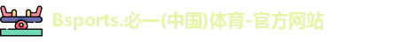 B体育官网